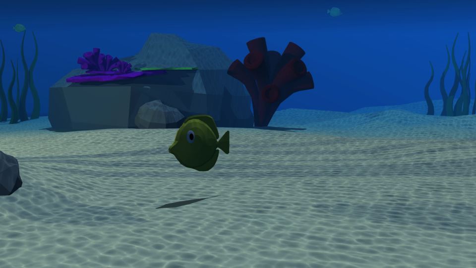 fish swimming underwater